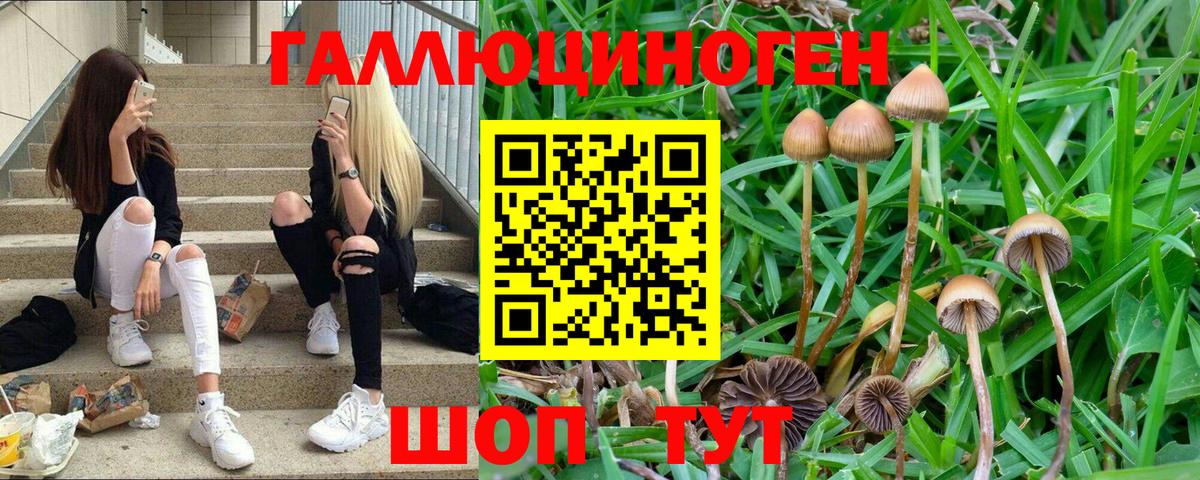 Псилоцибиновые грибы мухоморы Бийск