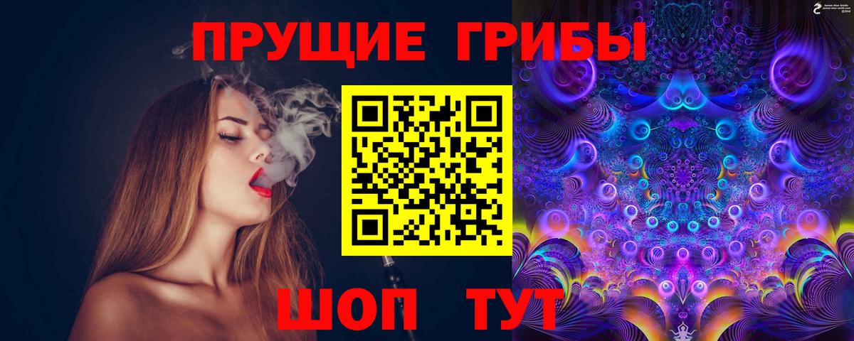Бийск  Галлюциногенные грибы Magic Shrooms  даркнет сайт  Вход с VPN 
